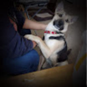 Meet your Posher, Cynthia